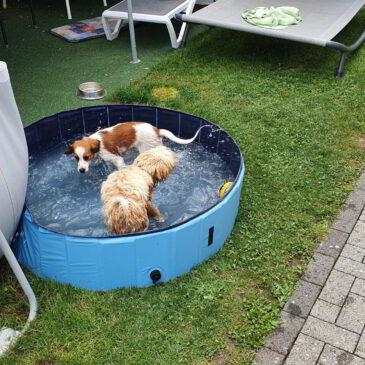 Bonny im Wasserparadies – Poolspaß und Naturerlebnis am Herrenbachstausee