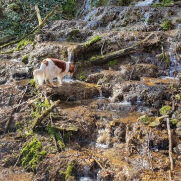 Besonderer Ausflug zu den Autal-Wasserfällen bei Überkingen